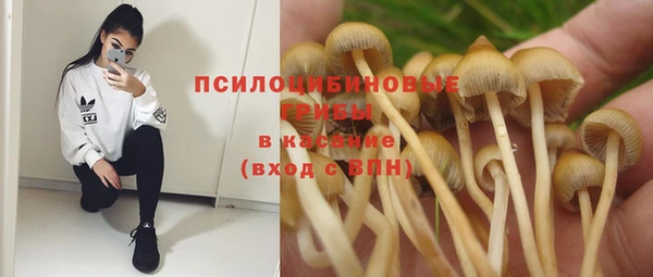 бутик Пересвет