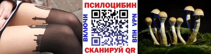 Псилоцибиновые грибы Psilocybe  Купить закладки  Новый Оскол 