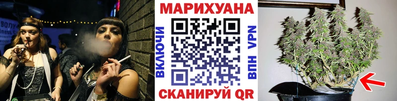 Купить закладки  Новый Оскол  Каннабис сатива 